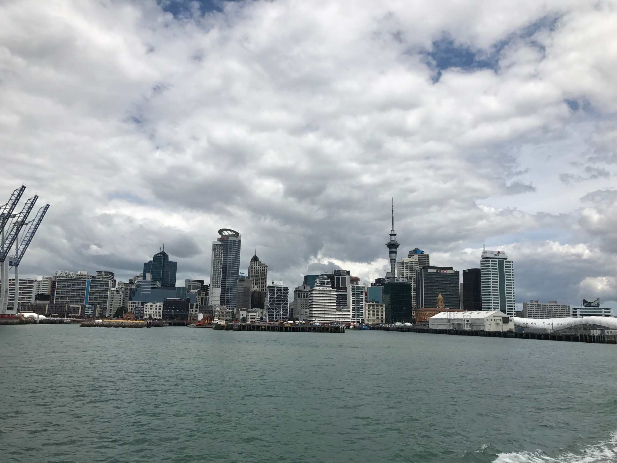 Auckland Skyline